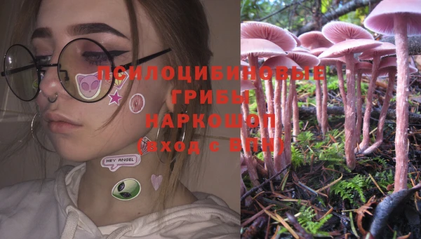 PSILOCYBIN Бронницы