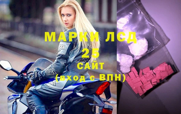 соль ск Бородино