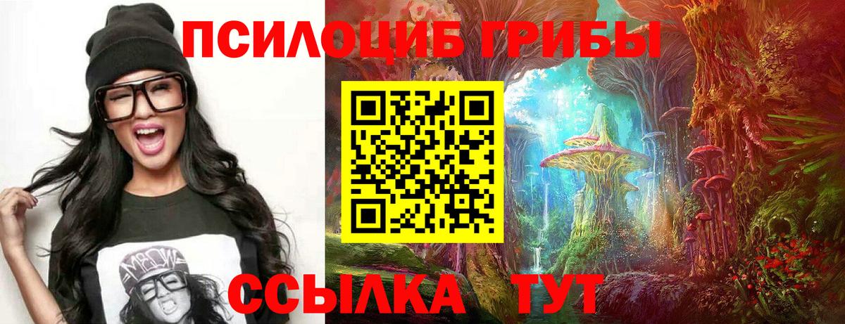 Псилоцибиновые грибы Psilocybe Верхний Уфалей