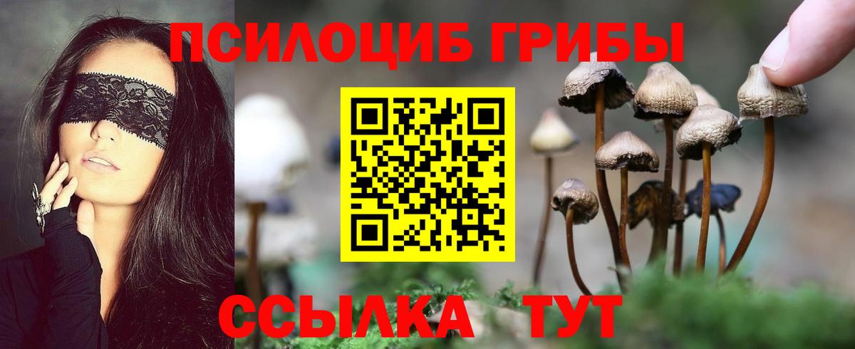Верхний Уфалей  Галлюциногенные грибы ЛСД  Вход с VPN  Псилоцибиновые грибы мицелий 